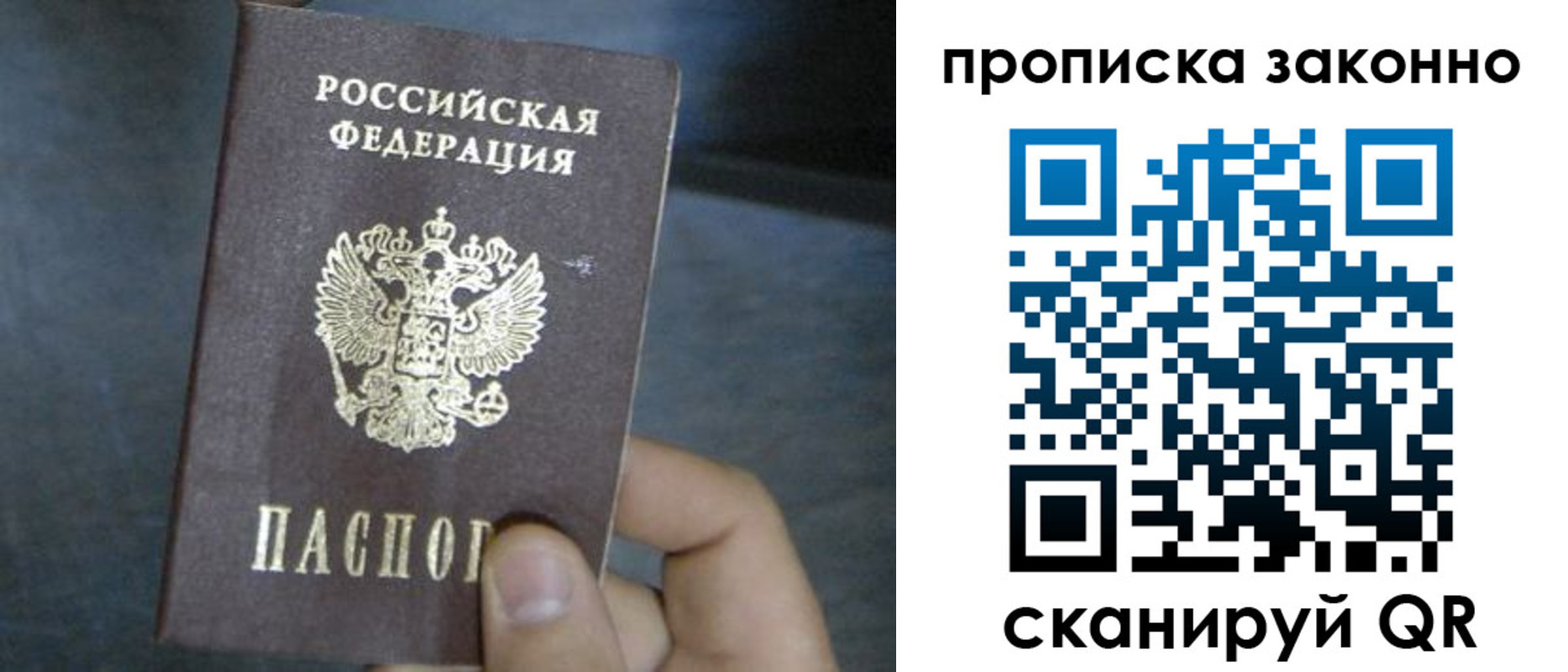 прописка в квартире в Кольчугино