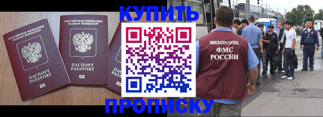 прописка 2025 в Кольчугино